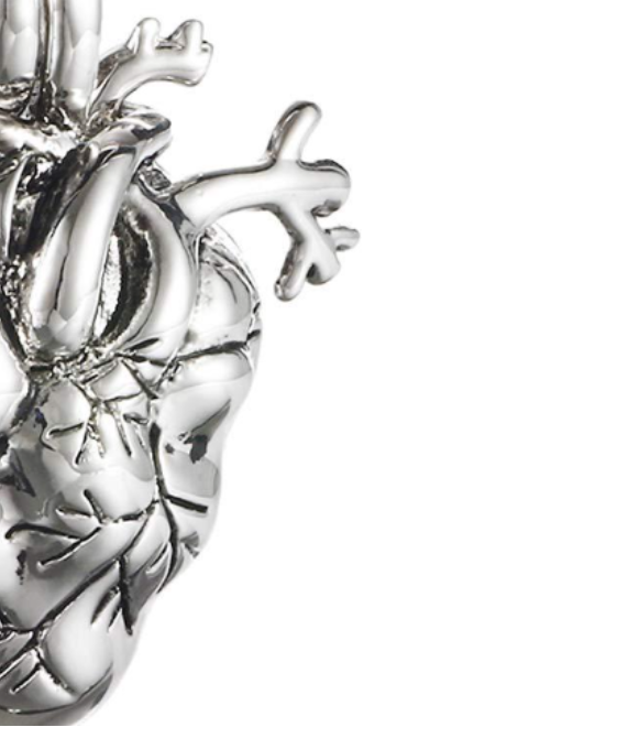 Zinc Alloy Heart Anatomical Shape Openable Ashes Memorial Necklace Pendant Perfume Bottle